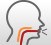 Mouth & Severe sore throat infectioons
